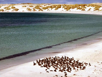 Falkland Islands